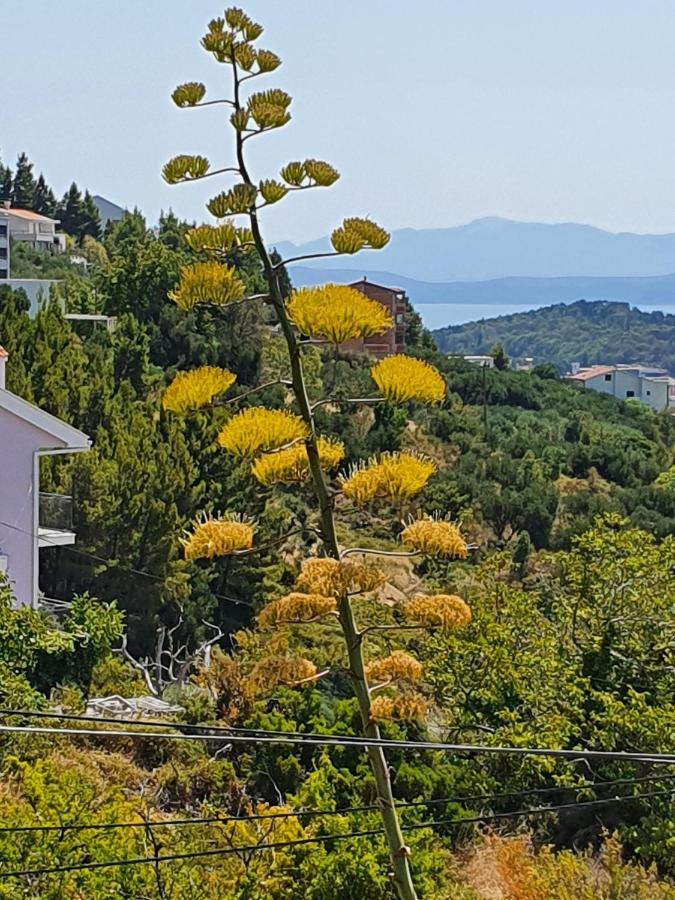 Apartment Dora Makarska Exterior foto